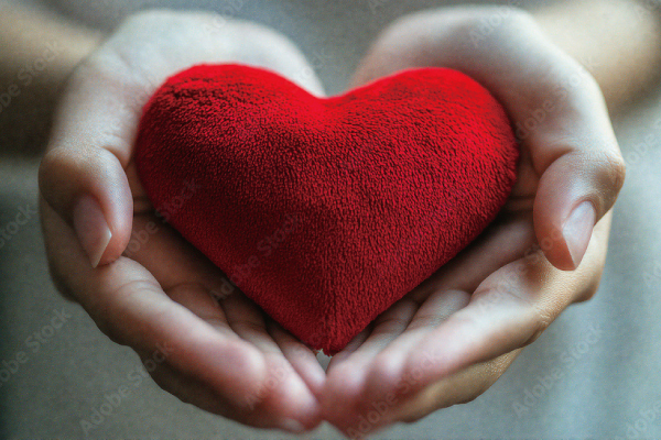 ハートを持った両手